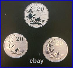 Cdn SET of 3-2011 RCM $20 SILVER (. 9999) 7.6 gm 5 Maple Leafs in Leuchtturm case