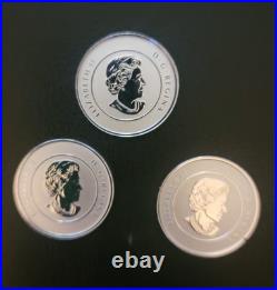 Cdn SET of 3-2011 RCM $20 SILVER (. 9999) 7.6 gm 5 Maple Leafs in Leuchtturm case