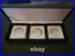 Cdn SET of 3-2011 RCM $20 SILVER (. 9999) 7.6 gm 5 Maple Leafs in Leuchtturm case