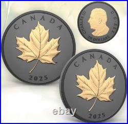 ELEGANT MAPLE 2025 CANADA Rhodium/Gold Gilded 1oz. 9999 Pure Silver $20 Coin