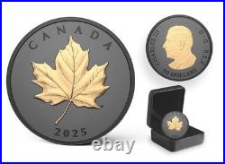 ELEGANT MAPLE 2025 CANADA Rhodium/Gold Gilded 1oz. 9999 Pure Silver $20 Coin