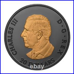 ELEGANT MAPLE 2025 CANADA Rhodium/Gold Gilded 1oz. 9999 Pure Silver $20 Coin