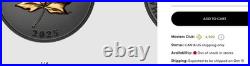 ELEGANT MAPLE 2025 CANADA Rhodium/Gold Gilded 1oz. 9999 Pure Silver $20 Coin