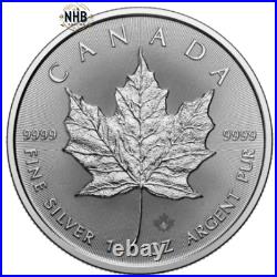Lot of 5 x 1 oz New 2025 Maple Leaf Silver Coins BU Royal Canadian Mint Lot of 5 x 1 oz New 2025 Maple Leaf Silver Coins BU Royal Canadian Mint