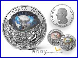 MOON SKY RAVEN 2025 CANADA HOLOGRAPHIC INUIT 1oz. 9999 Pure Silver $20 Coin MOON SKY RAVEN 2025 CANADA HOLOGRAPHIC INUIT 1oz. 9999 Pure Silver $20 Coin