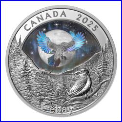 MOON SKY RAVEN 2025 CANADA HOLOGRAPHIC INUIT 1oz. 9999 Pure Silver $20 Coin MOON SKY RAVEN 2025 CANADA HOLOGRAPHIC INUIT 1oz. 9999 Pure Silver $20 Coin