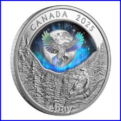 MOON SKY RAVEN 2025 CANADA HOLOGRAPHIC INUIT 1oz. 9999 Pure Silver $20 Coin MOON SKY RAVEN 2025 CANADA HOLOGRAPHIC INUIT 1oz. 9999 Pure Silver $20 Coin