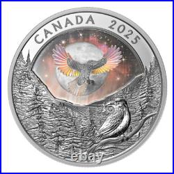MOON SKY RAVEN 2025 CANADA HOLOGRAPHIC INUIT 1oz. 9999 Pure Silver $20 Coin MOON SKY RAVEN 2025 CANADA HOLOGRAPHIC INUIT 1oz. 9999 Pure Silver $20 Coin
