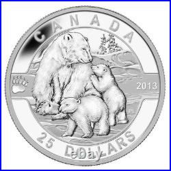 O Canada 2013 POLAR BEAR & Baby Cubs $25 1 Oz Pure Silver Proof in Box FULL OGP
