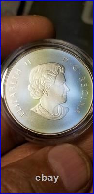 O Canada 2014 Proof Gem $10 Silver Coin Grizzly Bear