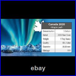 Polar Lights Jasper National Park 2020 1 OZ Silver Canada colour Aurora Borealis
