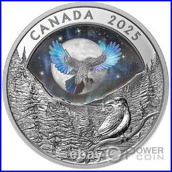 RAVEN Moon Sky 1 Oz Silver Coin 20$ Canada 2025 RAVEN Moon Sky 1 Oz Silver Coin 20$ Canada 2025