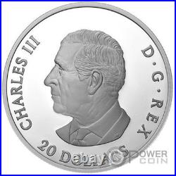 RAVEN Moon Sky 1 Oz Silver Coin 20$ Canada 2025 RAVEN Moon Sky 1 Oz Silver Coin 20$ Canada 2025