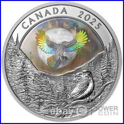 RAVEN Moon Sky 1 Oz Silver Coin 20$ Canada 2025 RAVEN Moon Sky 1 Oz Silver Coin 20$ Canada 2025