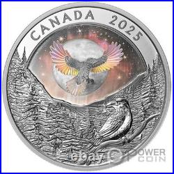 RAVEN Moon Sky 1 Oz Silver Coin 20$ Canada 2025 RAVEN Moon Sky 1 Oz Silver Coin 20$ Canada 2025