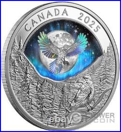 RAVEN Moon Sky 1 Oz Silver Coin 20$ Canada 2025 RAVEN Moon Sky 1 Oz Silver Coin 20$ Canada 2025