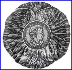 REMEMBRANCE DAY Poppy Shapped 2020 CANADA 1oz. 9999 Silver Proof $20 Coin