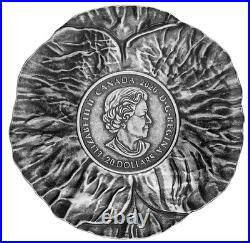 REMEMBRANCE DAY Poppy Shapped 2020 CANADA 1oz. 9999 Silver Proof $20 Coin