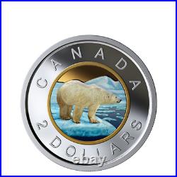 Rare Canada Silver Colored Toonie Coin, Colorised Polar Bear UNC, 2019