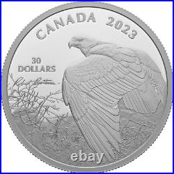Royal Canadian Mint 2023 Vantage Point Bald Eagle 2 oz Silver Collectible Coin