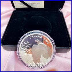 Royal Canadian Mint 2023 Vantage Point Bald Eagle 2 oz Silver Collectible Coin