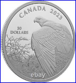 Royal Canadian Mint 2023 Vantage Point Bald Eagle 2 oz Silver Collectible Coin