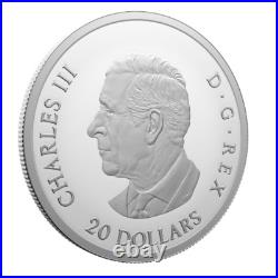 Royal Canadian Mint 2024 Remembrance Day 1 oz Fine Silver Collectible Coin