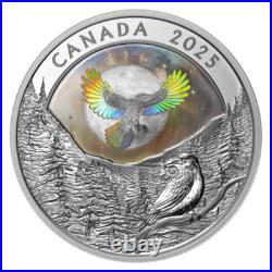 Royal Canadian Mint 2025 1 oz Silver Coin Moon Sky Raven Gift Ideas Royal Canadian Mint 2025 1 oz Silver Coin Moon Sky Raven Gift Ideas