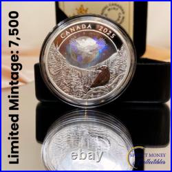 Royal Canadian Mint 2025 1 oz Silver Coin Moon Sky Raven Gift Ideas Royal Canadian Mint 2025 1 oz Silver Coin Moon Sky Raven Gift Ideas