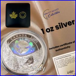 Royal Canadian Mint 2025 1 oz Silver Coin Moon Sky Raven Gift Ideas Royal Canadian Mint 2025 1 oz Silver Coin Moon Sky Raven Gift Ideas