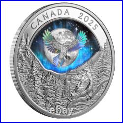 Royal Canadian Mint 2025 1 oz Silver Coin Moon Sky Raven Gift Ideas Royal Canadian Mint 2025 1 oz Silver Coin Moon Sky Raven Gift Ideas