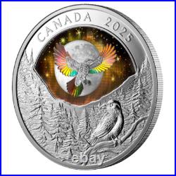 Royal Canadian Mint 2025 1 oz Silver Coin Moon Sky Raven Gift Ideas Royal Canadian Mint 2025 1 oz Silver Coin Moon Sky Raven Gift Ideas