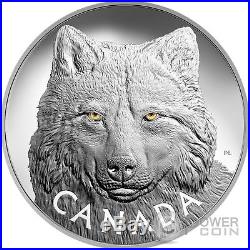 TIMBER WOLF EYES Gold Enamel 1 Kg Kilo Silver Coin 250$ Canada 2017