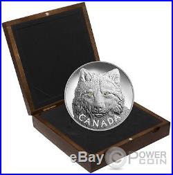 TIMBER WOLF EYES Gold Enamel 1 Kg Kilo Silver Coin 250$ Canada 2017