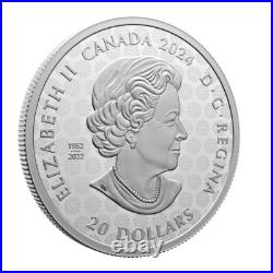 Transcendence & Tranquility 2024 CANADA 1oz. 9999 Pure Silver Proof $20 Coin Transcendence & Tranquility 2024 CANADA 1oz. 9999 Pure Silver Proof $20 Coin