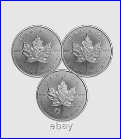 Treasured Silver Maple Leaf Set. 9999 Effigies 3 Coin Set 2022-2024