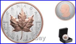 Ultra High Relief Silver Maple Leaf 2025 CANADA 1oz. 9999 Pure Silver $20 Coin Ultra High Relief Silver Maple Leaf 2025 CANADA 1oz. 9999 Pure Silver $20 Coin
