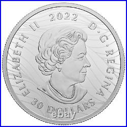 VISIONS OF CANADA 2 Oz Silver Coin $30 Canada 2022